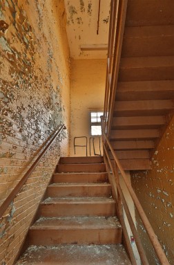 Photo © Bryan Parcival