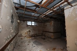 Photo © Bryan Parcival