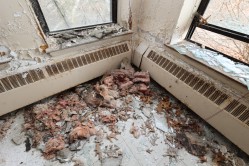 Photo © Bryan Parcival