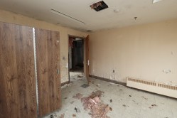 Photo © Bryan Parcival