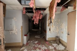 Photo © Bryan Parcival