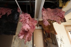 Photo © Bryan Parcival