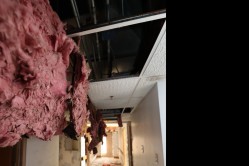 Photo © Bryan Parcival