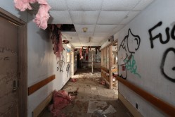 Photo © Bryan Parcival