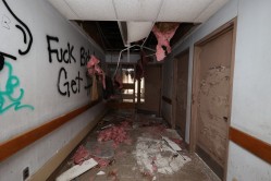 Photo © Bryan Parcival