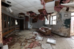 Photo © Bryan Parcival