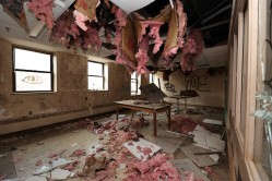 Photo © Bryan Parcival