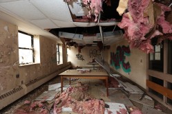 Photo © Bryan Parcival