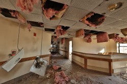 Photo © Bryan Parcival