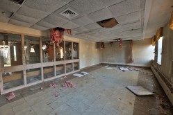 Photo © Bryan Parcival