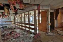 Photo © Bryan Parcival