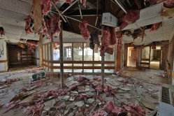 Photo © Bryan Parcival