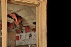 Photo © Bryan Parcival