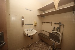 Photo © Bryan Parcival