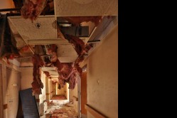 Photo © Bryan Parcival