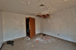 Photo © Bryan Parcival