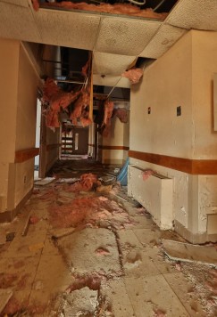 Photo © Bryan Parcival