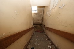 Photo © Bryan Parcival