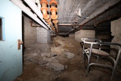 Photo © Bryan Parcival