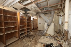 Photo © Bryan Parcival