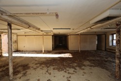 Photo © Bryan Parcival