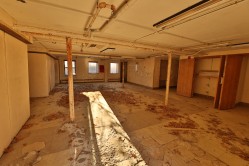 Photo © Bryan Parcival