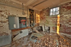 Photo © Bryan Parcival