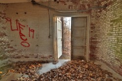 Photo © Bryan Parcival