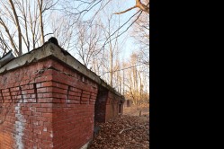 Photo © Bryan Parcival