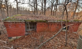 Photo © Bryan Parcival