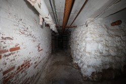 Photo © Bryan Parcival