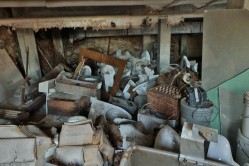 Photo © Bryan Parcival