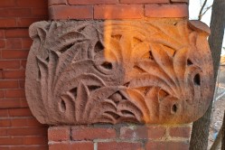 Photo © Bryan Parcival