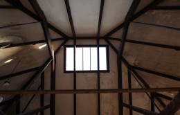 Photo © Bryan Parcival