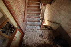 Photo © Bryan Parcival