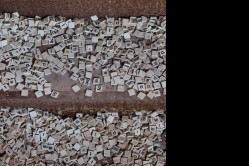 Photo © Bryan Parcival