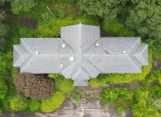 Photo © Thomas Coyne