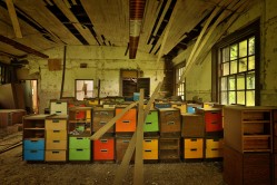 Photo © Bryan Parcival