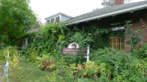 Photo © Bryan Parcival