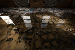 Photo © Bryan Parcival