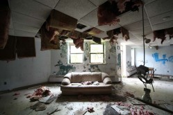 Photo © Bryan Parcival