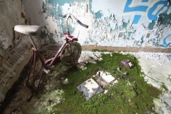 Photo © Bryan Parcival