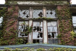 Photo © Bryan Parcival