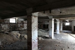 Photo © Bryan Parcival