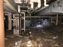 Photo © Bryan Parcival