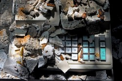 Photo © Julia Solis