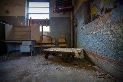 Photo © Julia Solis