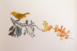 Photo © Julia Solis