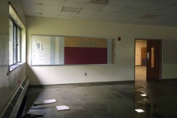 Photo © Julia Solis