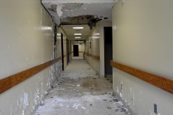 Photo © Julia Solis